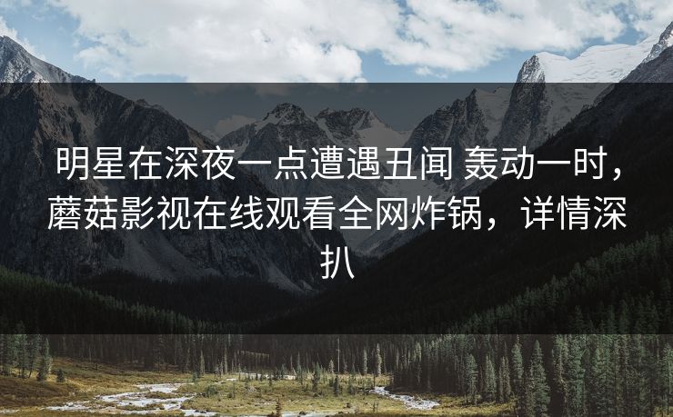 明星在深夜一点遭遇丑闻 轰动一时，蘑菇影视在线观看全网炸锅，详情深扒